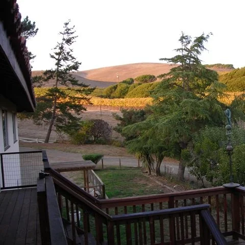 Point Reyes Vineyards - The Point Reyes Vineyard Inn is a romantic, secluded Mediterranean-style Bed and Breakfast in a quiet pastoral setting with views of the Inverness Ridge and West Marin's rolling hills.