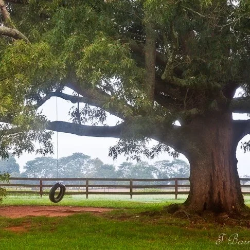 The Farm House at 100 acres - Nestled in beautiful Madison GA, the farmhouse inn is just an hour's drive from Atlanta. Our beautiful AgroBnB offers five private guest rooms, a 5 bedroom house and a cottage.
