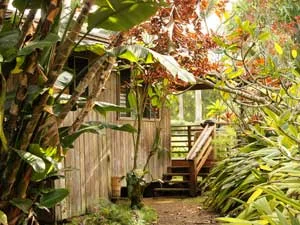 North Country Farms - North Country Farms is an organic family farm with an AgroBnB cottage, located just east of the rural and historic town of Kilauea on the lush north shore of Kauai, the Garden Island.