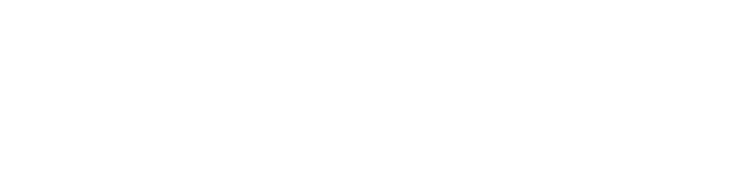 Efficient Document Solutions Inc.