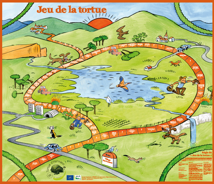 jeu tortue.png