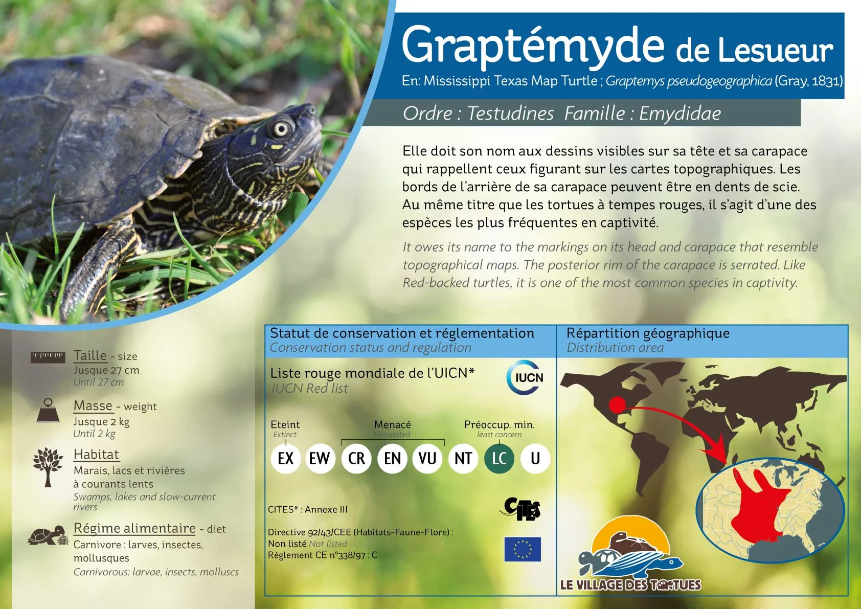 AQUATIQUE-graptemys-pseudo - Copie.jpg
