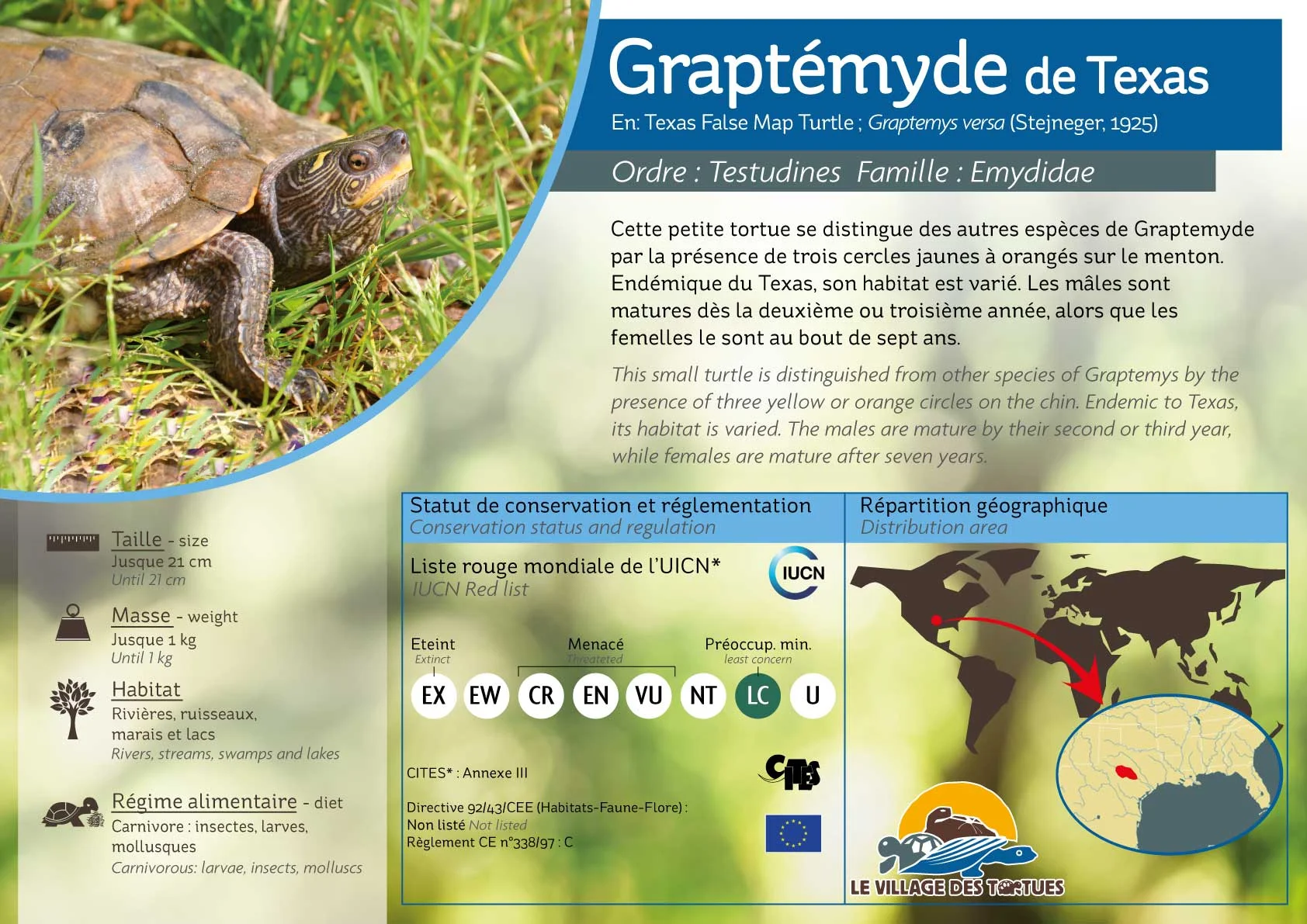 AQUATIQUE-graptemys-texas - Copie.jpg