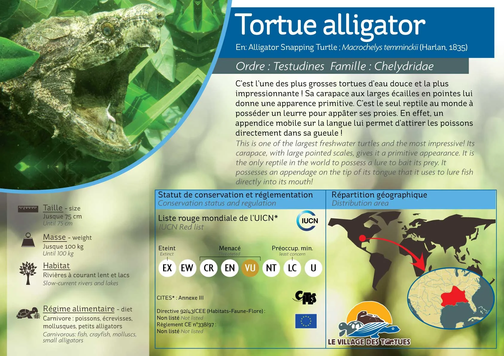 AQUATIQUE-macrochelys - Copie.jpg