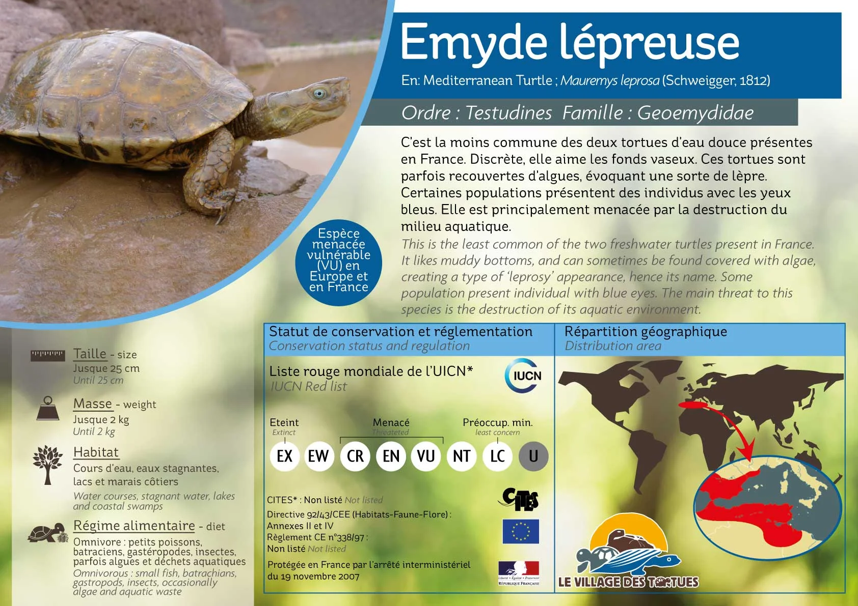 AQUATIQUE-mauremys-leprosa - Copie.jpg