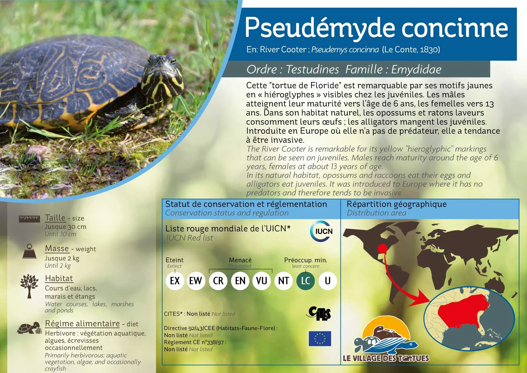 AQUATIQUE-pseudemys-concinna.jpg