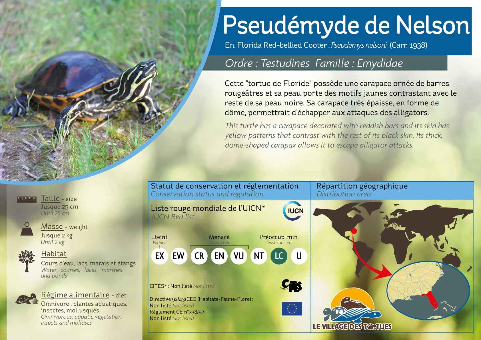 AQUATIQUE-pseudemys-nelsoni.jpg