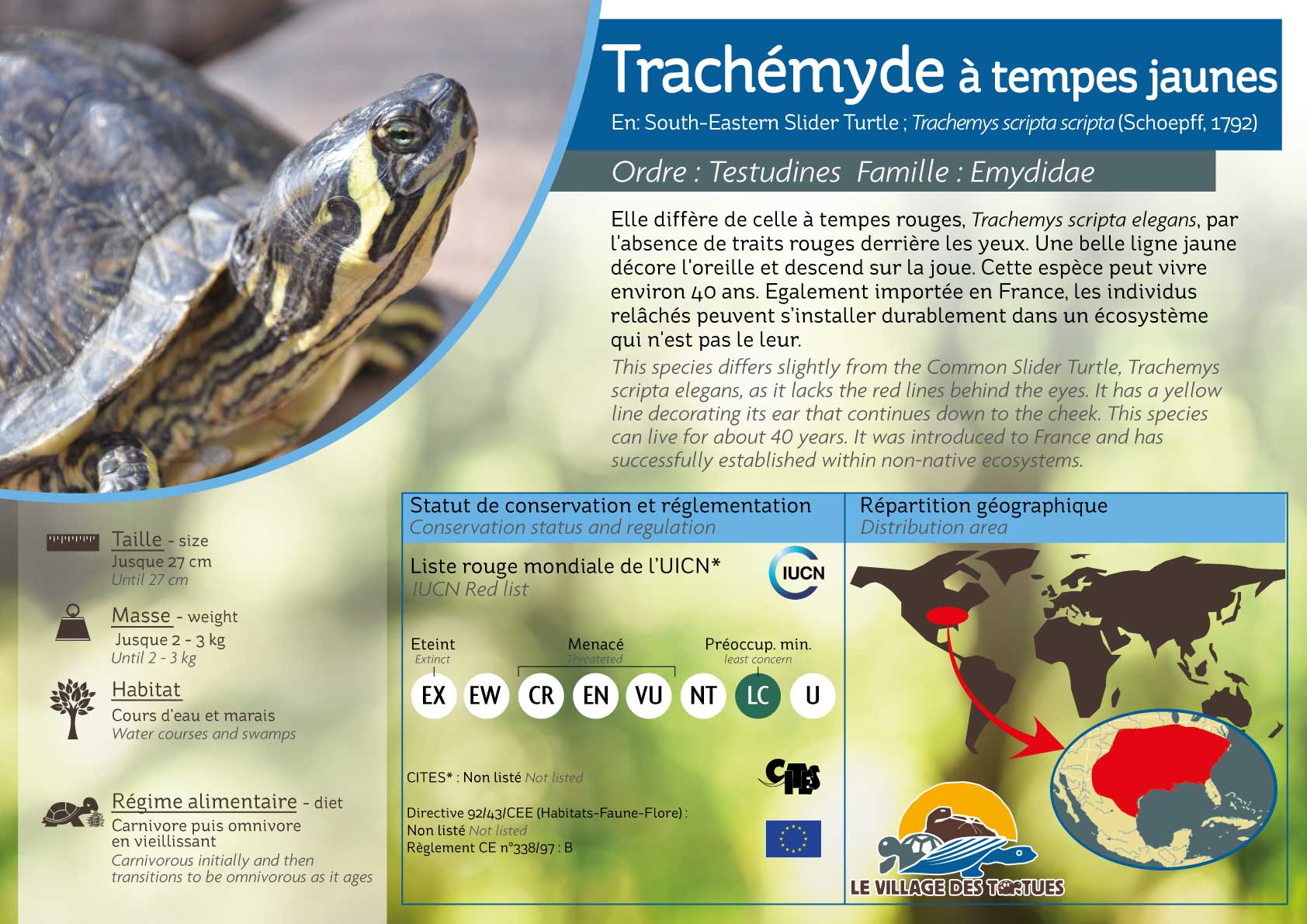 AQUATIQUE-trachemys-scripta-scripta.jpg