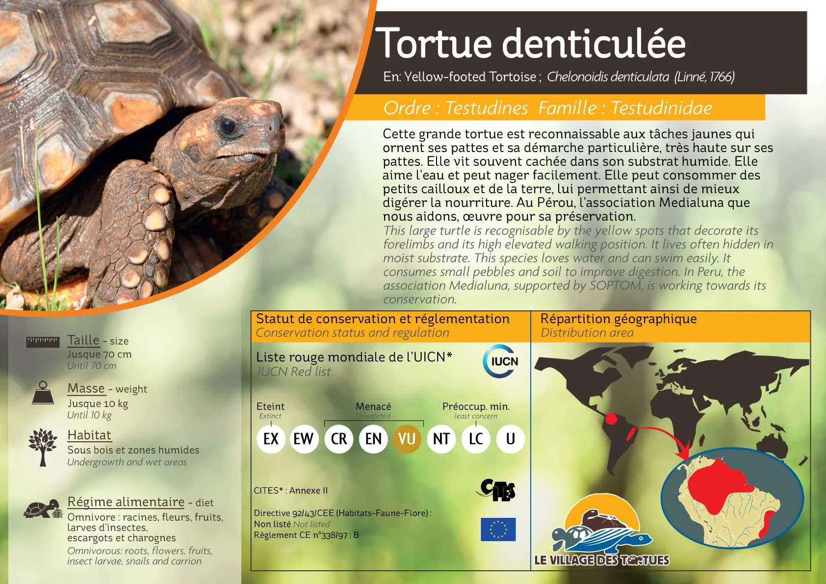 TERRESTRE-ensemble5.jpg