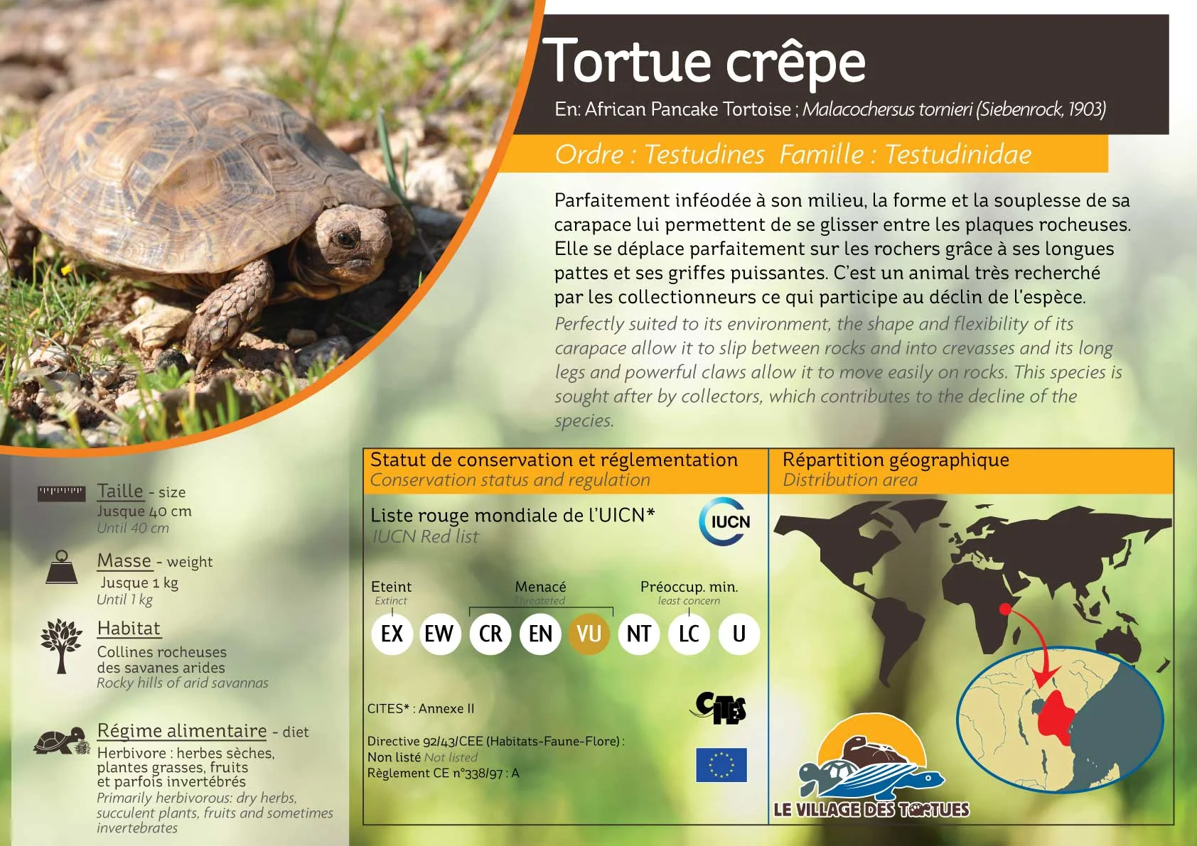 TERRESTRE-ensemble9.jpg