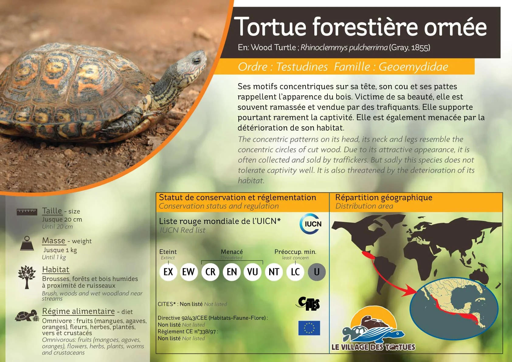 TERRESTRE-ensemble11.jpg