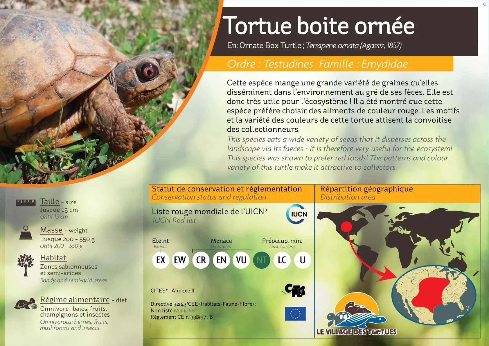 TERRESTRE-ensemble14.jpg