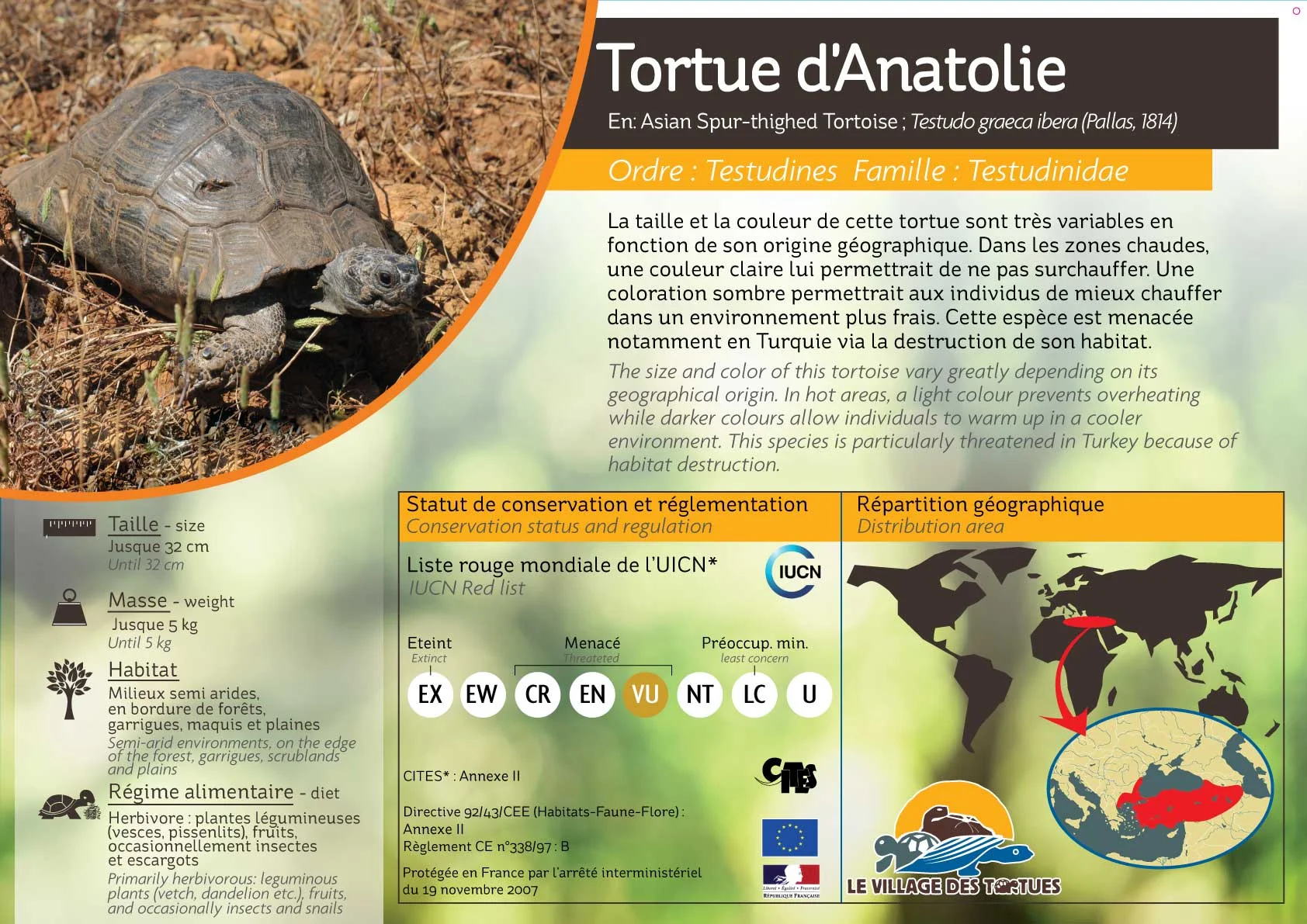 TERRESTRE-ensemble15.jpg