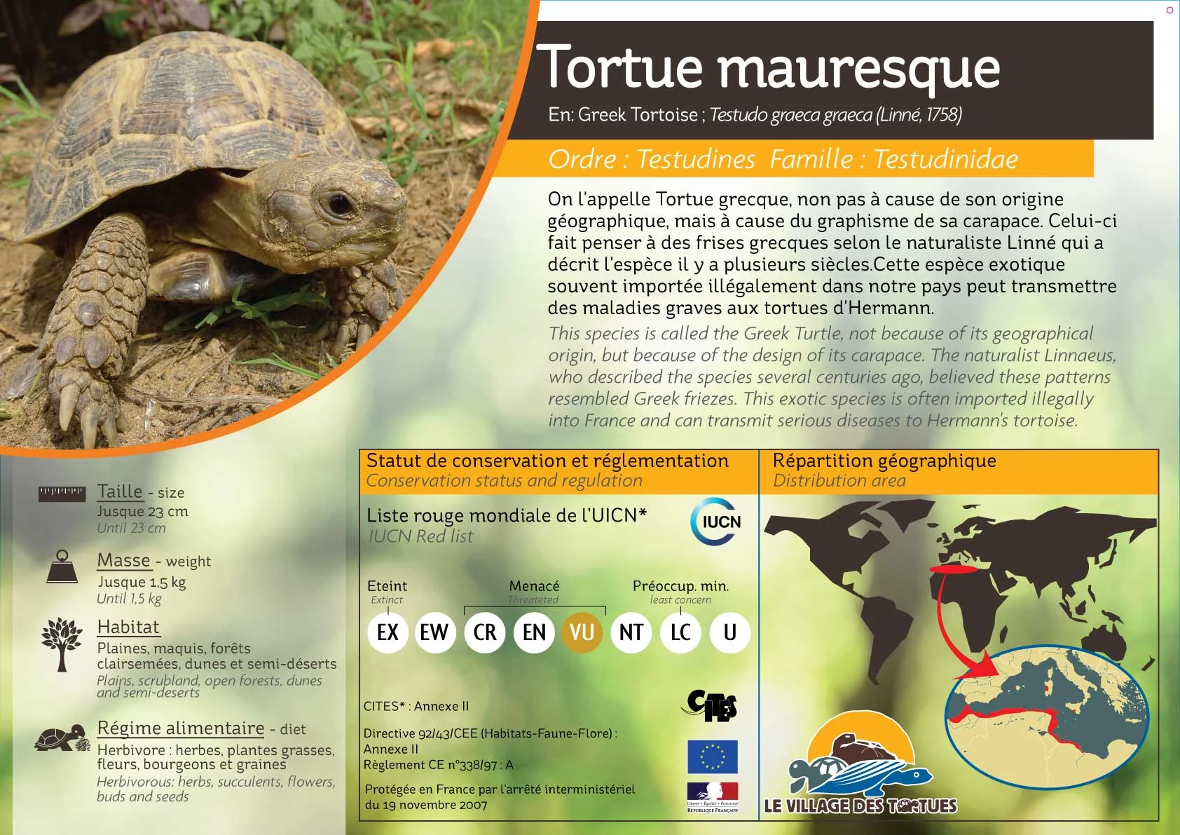 TERRESTRE-ensemble19.jpg