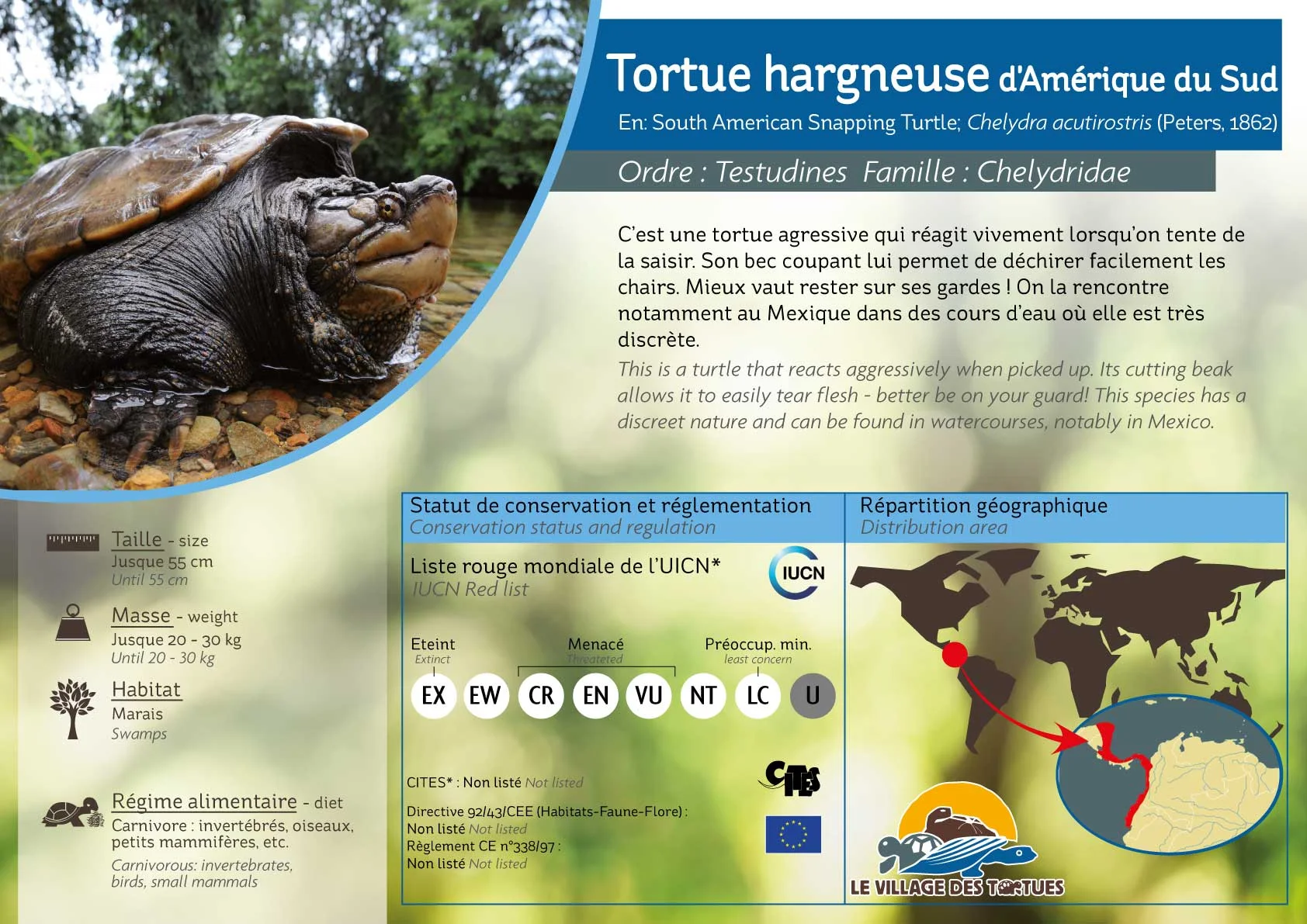 AQUATIQUE-chelydra-acutirostris - Copie.jpg