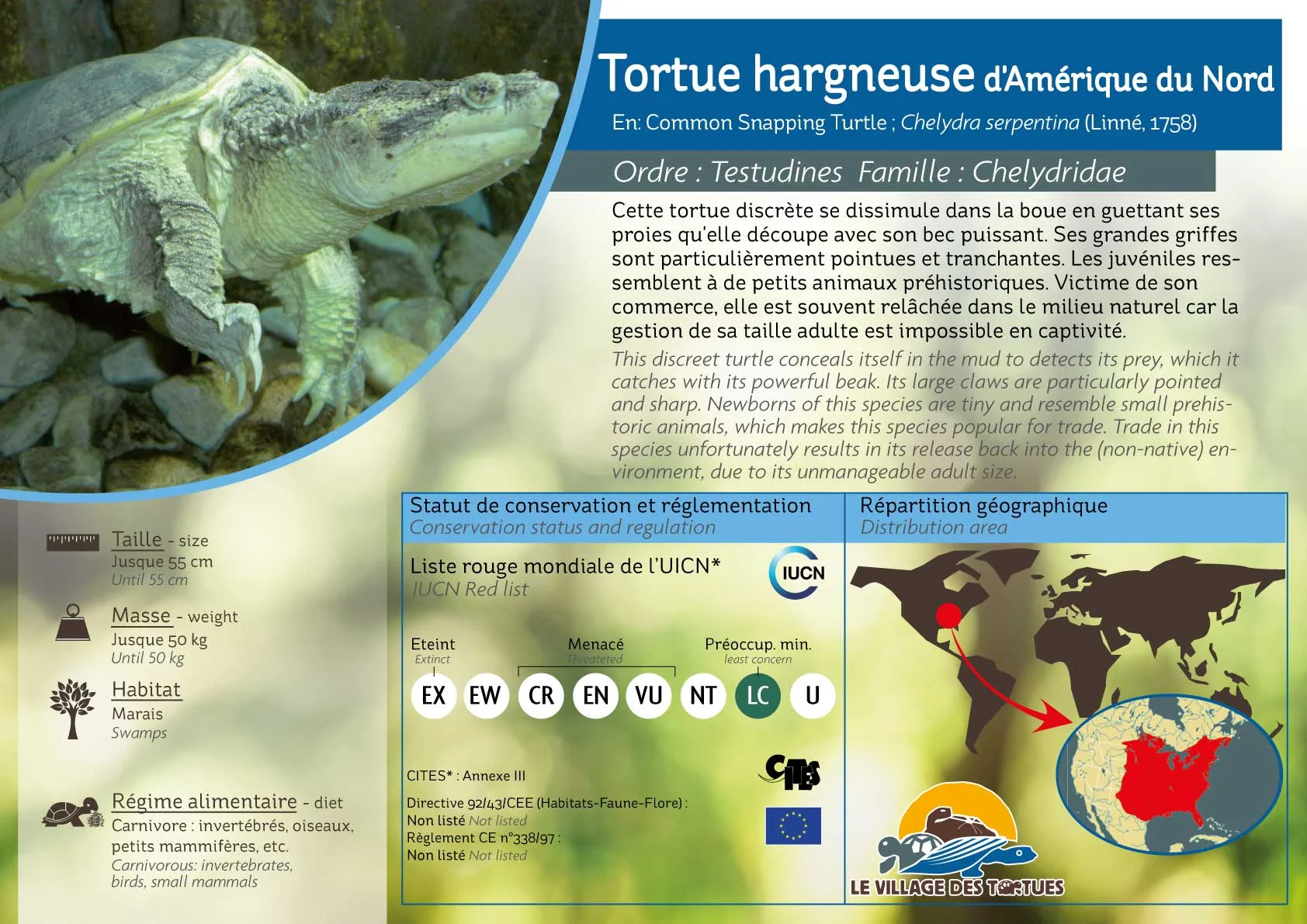 AQUATIQUE-chelydra-serpentina - Copie.jpg