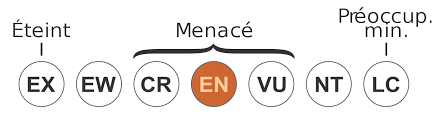 en danger.png