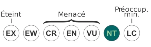 Quasi menacé.jpg