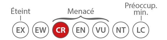 Schema-danger.jpg