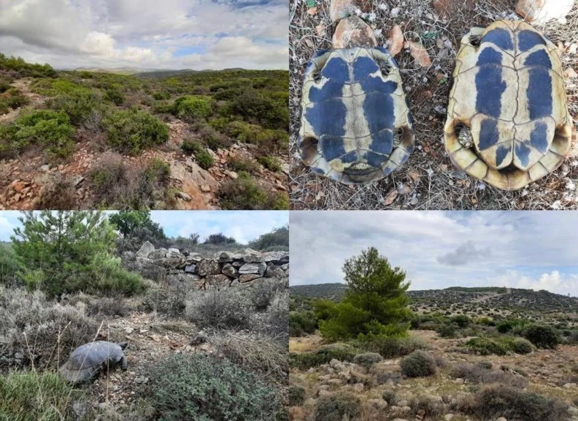 WhatsApp Image 2025-11-19 at 15.19.34(5).jpeg