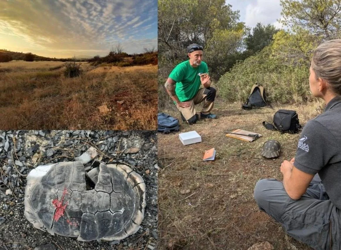 WhatsApp Image 2025-11-19 at 15.19.34(3).jpeg