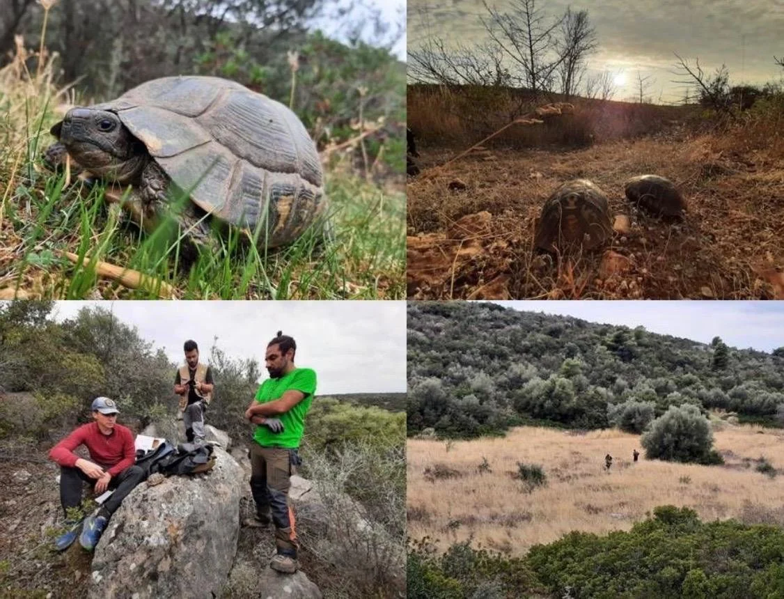 WhatsApp Image 2025-11-19 at 15.19.34(2).jpeg