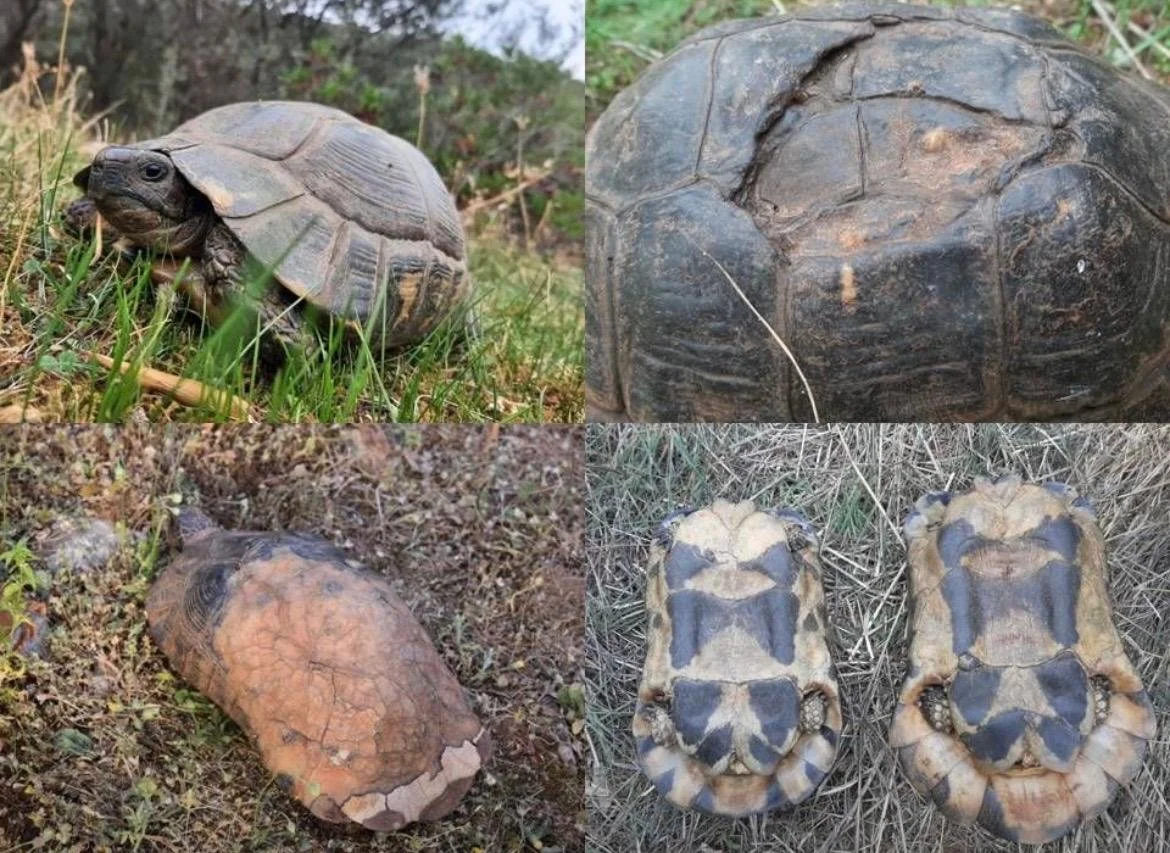 WhatsApp Image 2025-11-19 at 15.19.34(1).jpeg