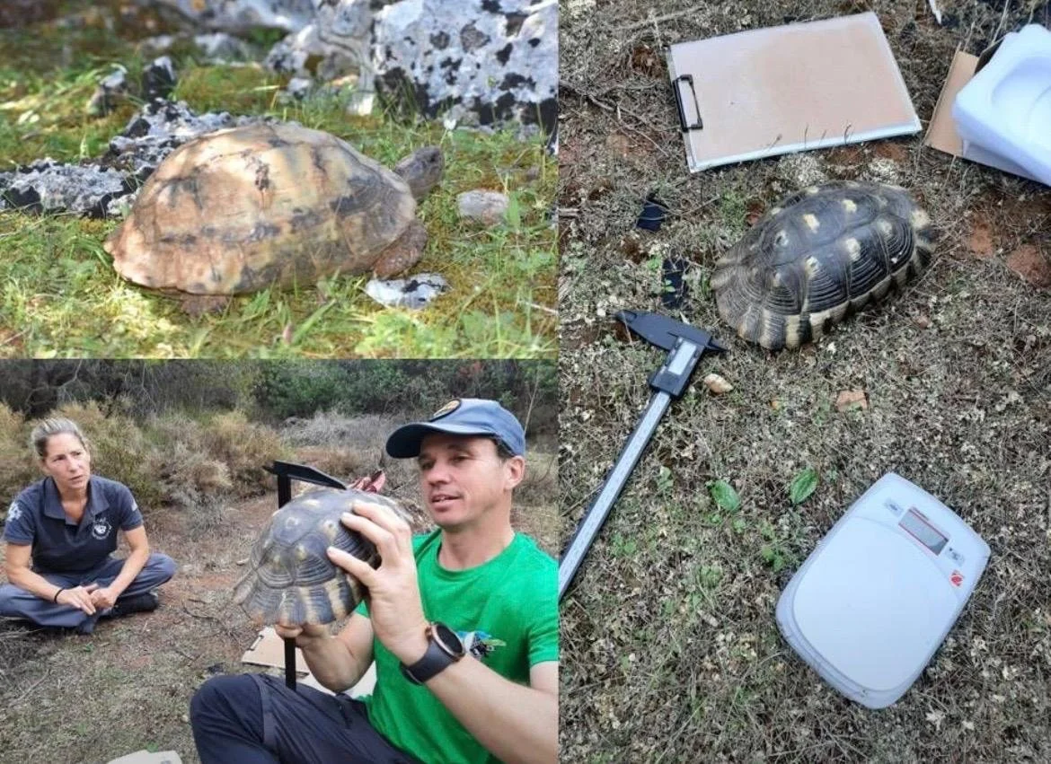 WhatsApp Image 2025-11-19 at 15.19.34.jpeg