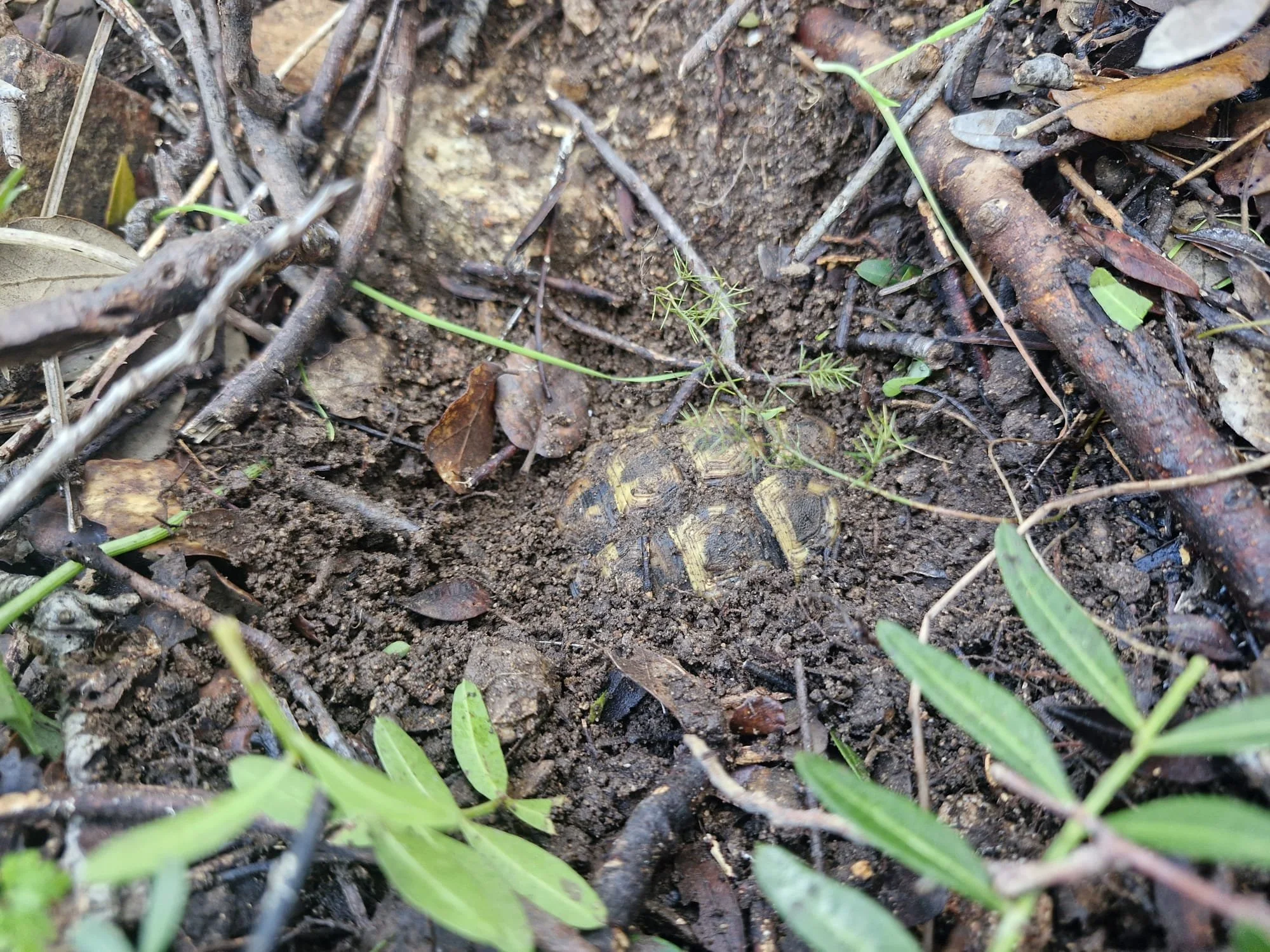 WhatsApp Image 2026-01-20 at 15.38.09.jpeg