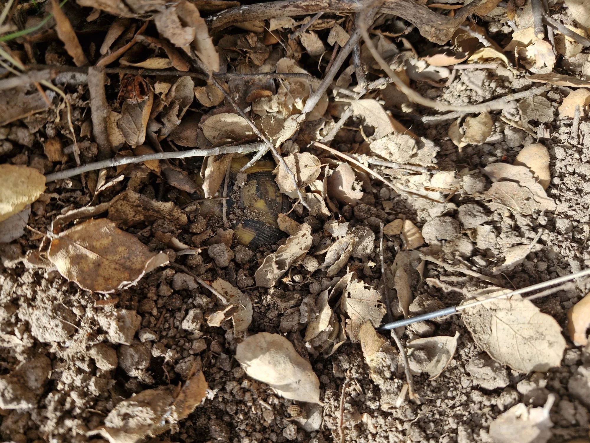 WhatsApp Image 2026-01-20 at 15.32.59.jpeg