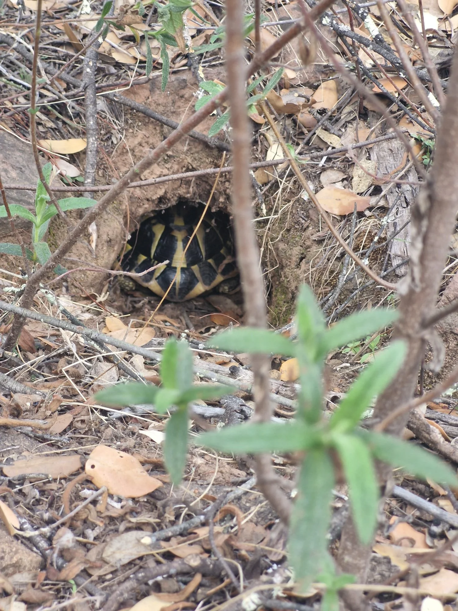 WhatsApp Image 2025-11-20 at 13.45.48(5).jpeg