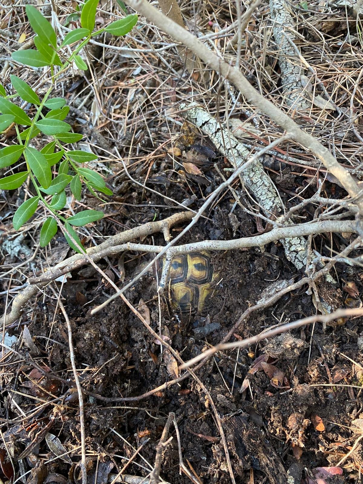 WhatsApp Image 2025-11-19 at 11.56.14(3).jpeg