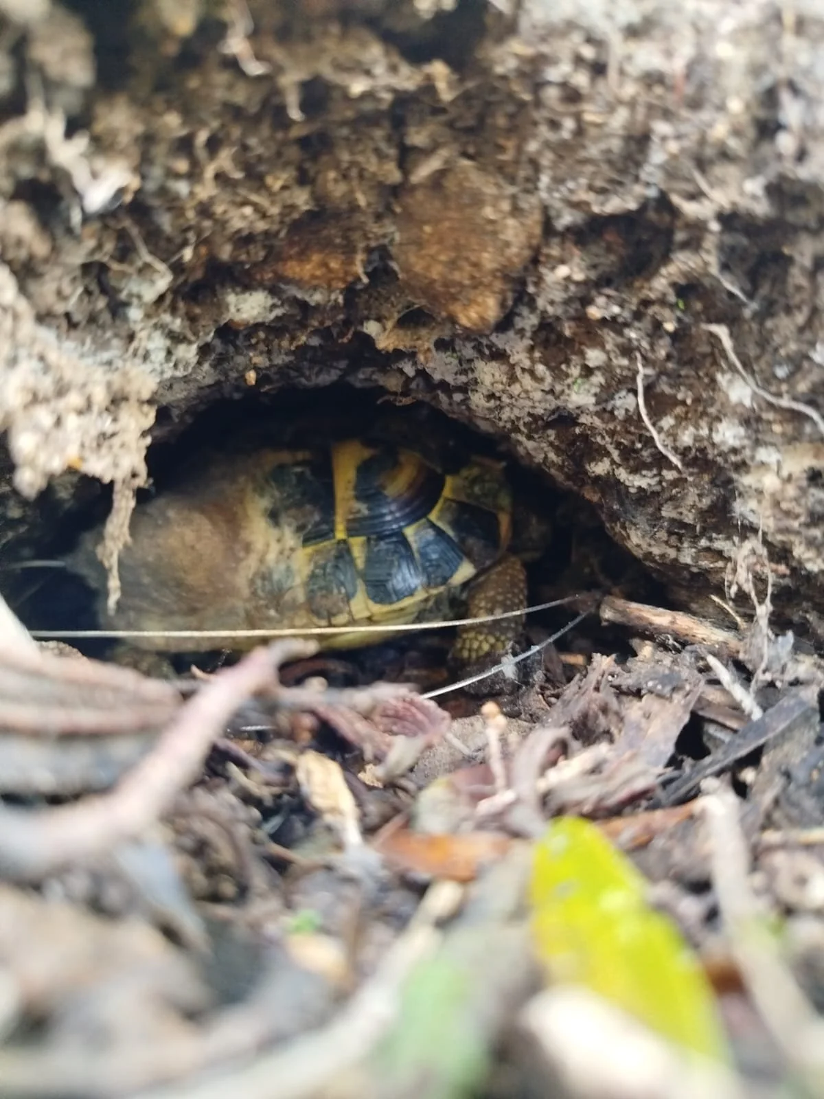 WhatsApp Image 2026-01-20 at 14.43.20.jpeg