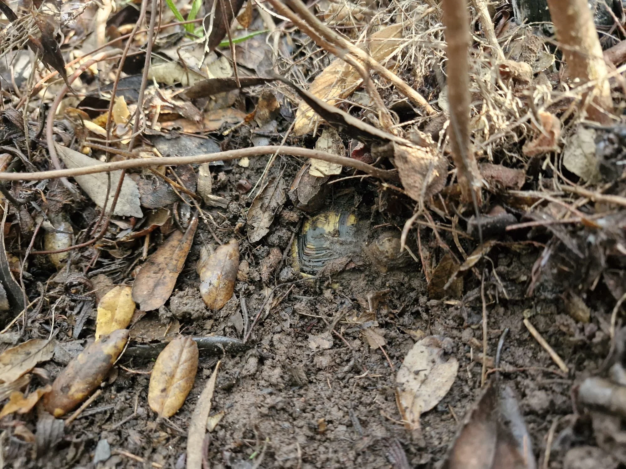 WhatsApp Image 2026-01-20 at 15.38.09 (1).jpeg