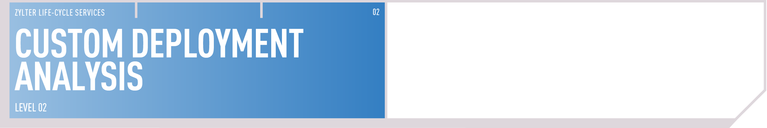 Tailored Reports.png