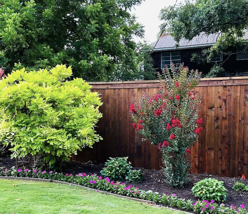 Screenshot 2026-02-26 at 10.49.15 AM.png