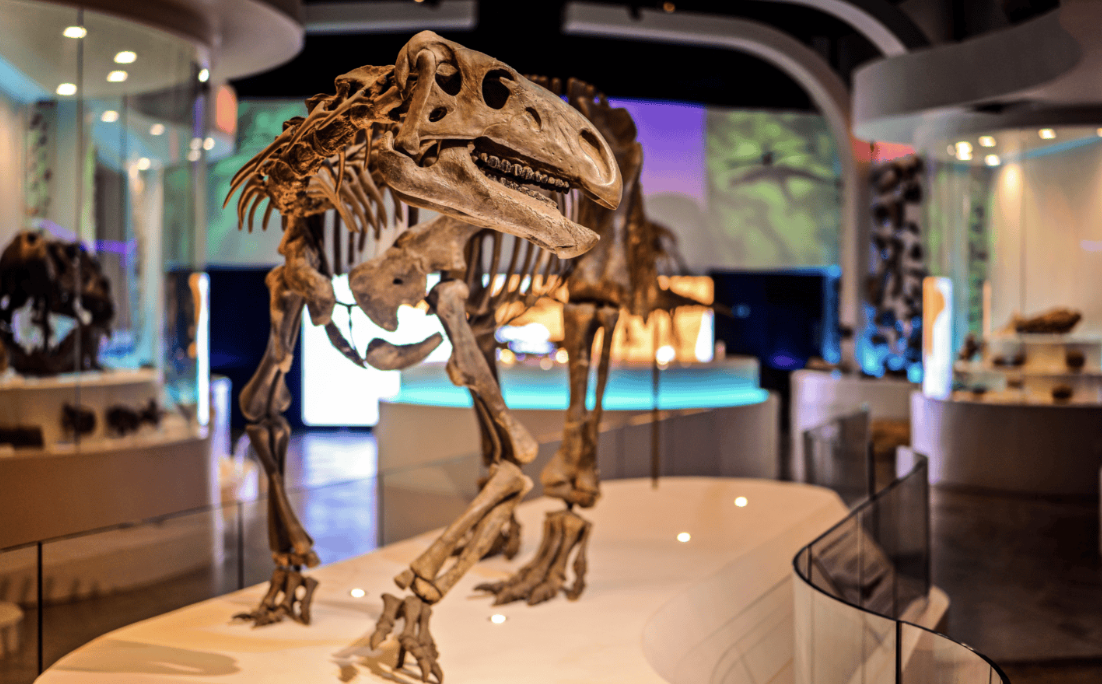 Screenshot 2026-02-26 at 10.08.57 AM.png