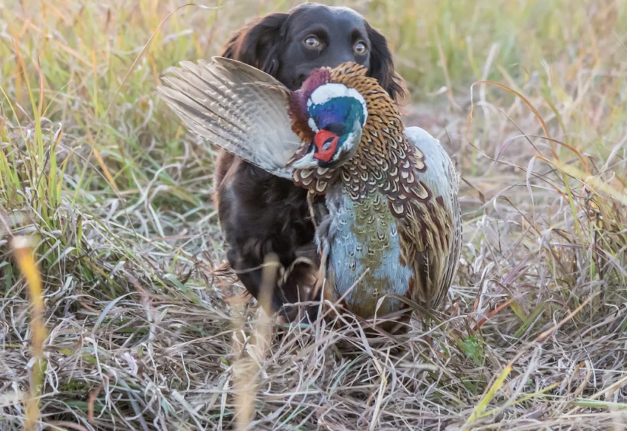 Screenshot 2026-02-26 at 9.49.19 AM.png