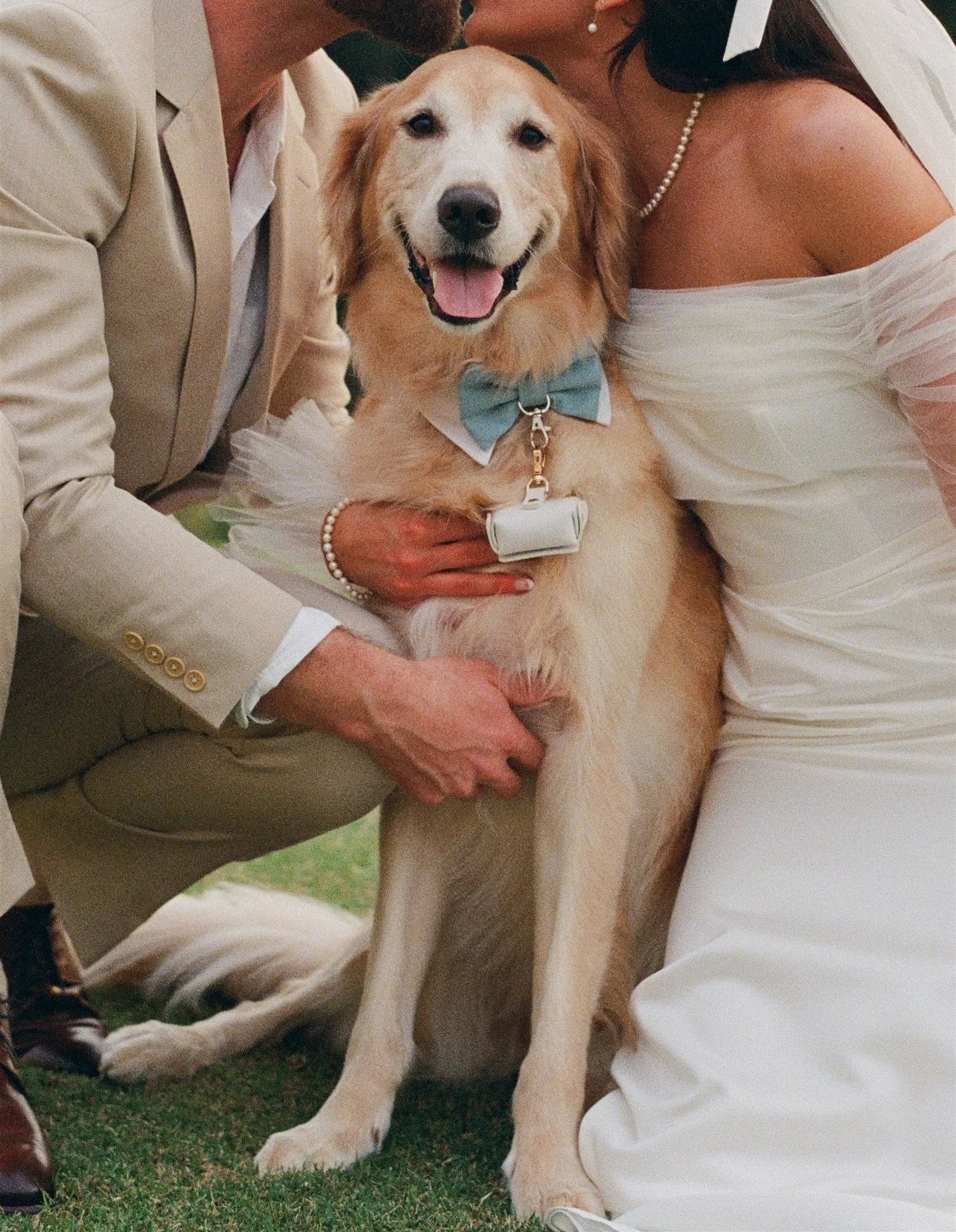 Favorite film photos from Whitney &amp; Kyle&rsquo;s wedding day. 🎞️

Venue - @tampapalmsweddings 
Makeup/Hair - @glambytaylorthomas 
-

SufiaHuqPortraits.com
Destination wedding &amp; elopement film photographer based in Orlando, Florida.

-

#flor