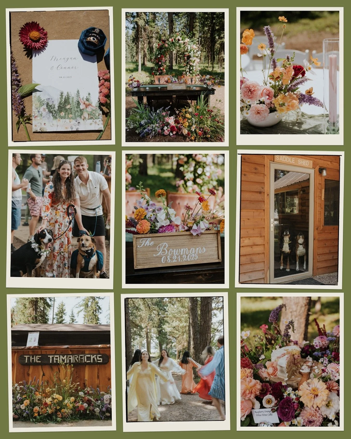 Wedding celebration but make it camp🏕️ 

StillsbySufia.co
Florida engagement photographer based in Orlando.

#floridaweddingphotographer #floridaengagementphotographer #orlandoengagementphotographer #montanaengagementphotographer #montanaelopementph