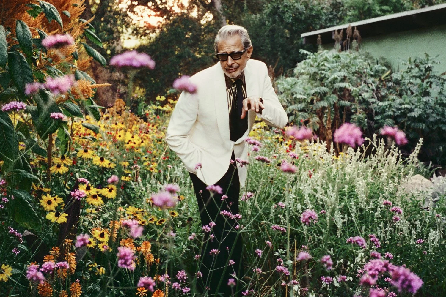 See Jeff Goldblum live this summer