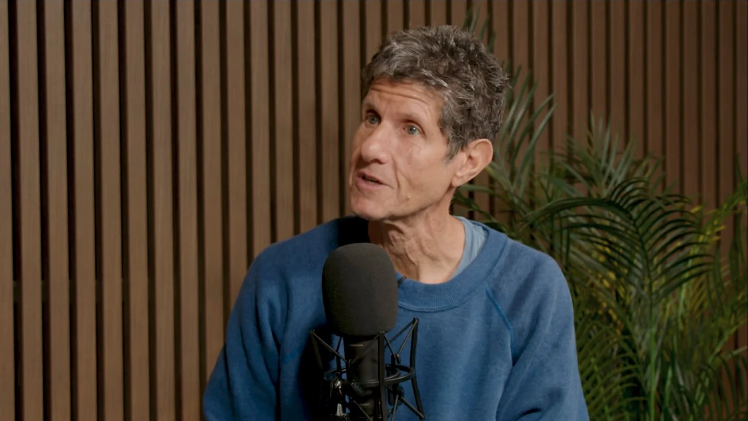 Mike D is Louis Theroux’s latest guest