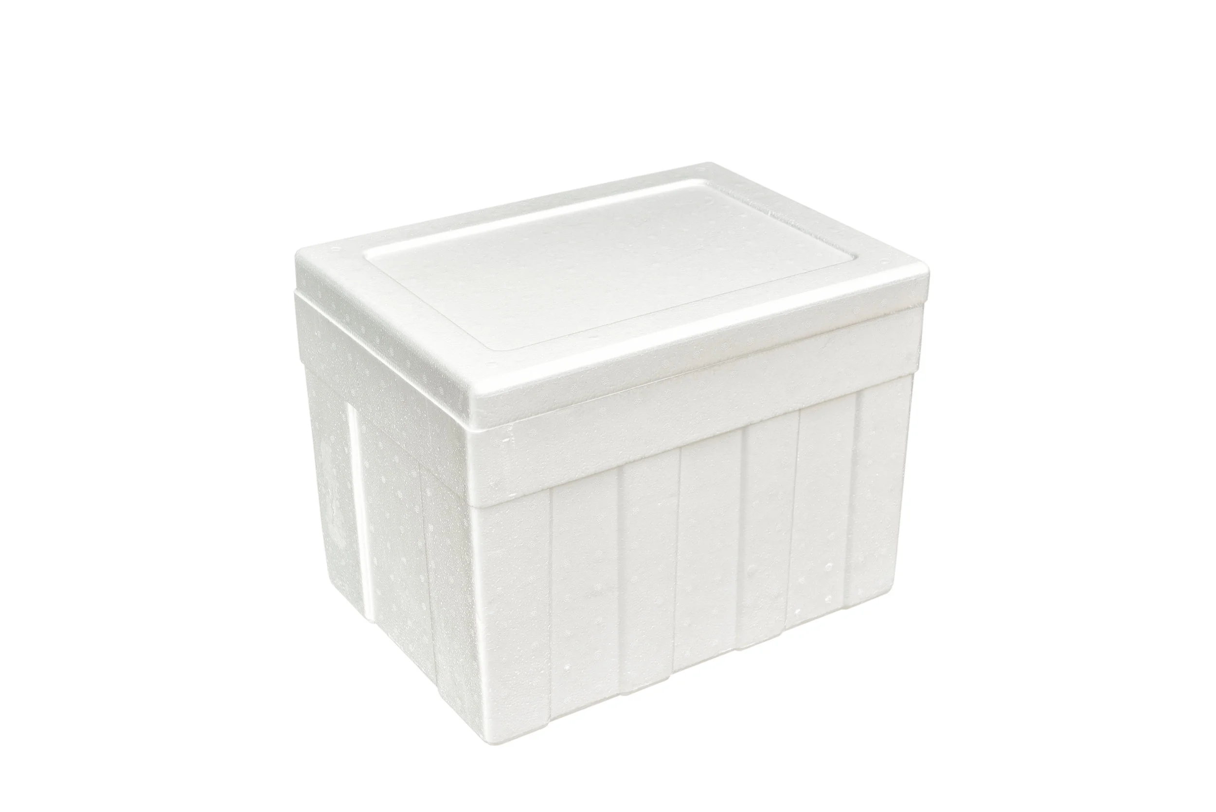 styrofoam box.jpg