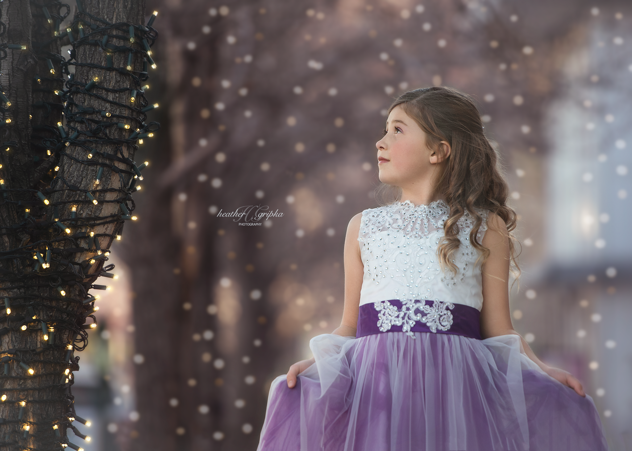 _DSC0287.png