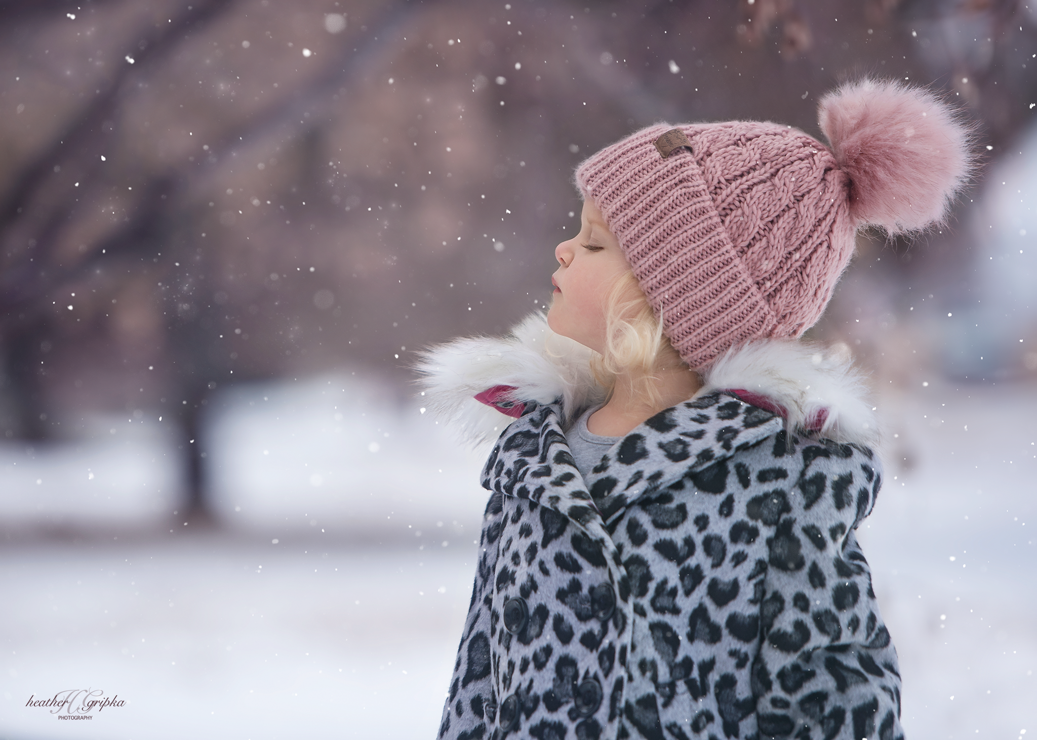 _DSC1742snow.png