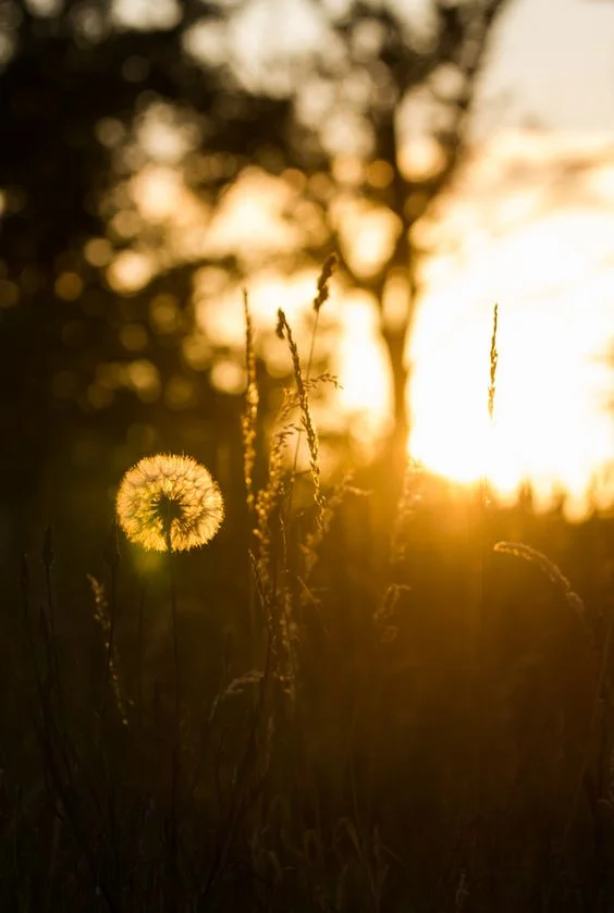 Pourquoi ne pas pratiquer le yoga au bureau ?