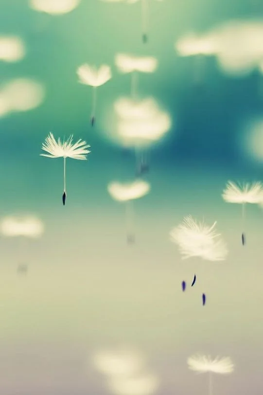 10 yoga-oefeningen die je gemakkelijk op kantoor kan uitvoeren