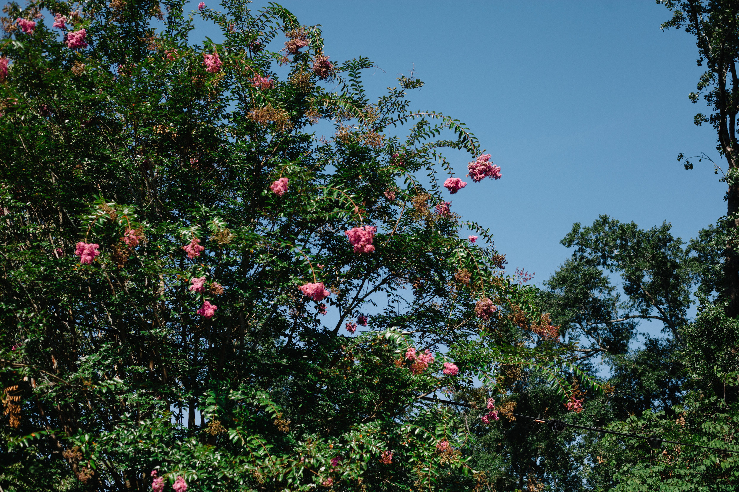 Morning-Walk-Five-Points_8-17-2019-2.JPG