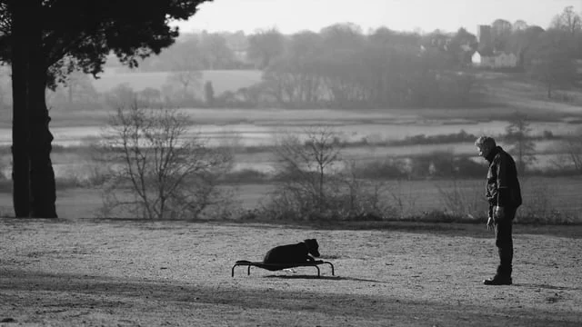 Click anywhere on the screen to view 