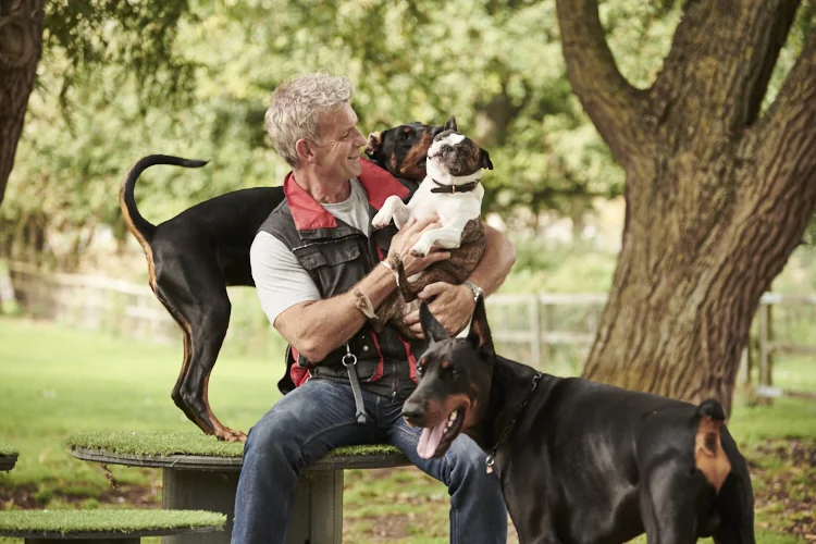 dog ate carpet padding